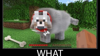 Minecraft รออะไร meme part 86 minecraft ที่เหมือนจริง Dog wool