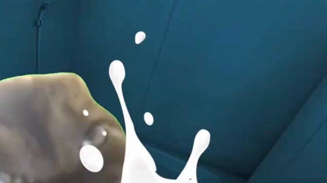 【Meme mèo】Khoảnh khắc ngượng ngùng khi dựng lều khi tôi là một người neo ảo với phần thân dưới lộ ra