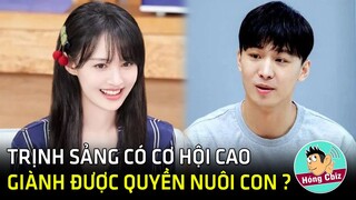 Trịnh Sảng có cơ hội cao giành được quyền nuôi con từ Trương Hằng?|Hóng Cbiz