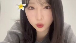 Oguri Yui (AKB48/Instagram Live/2024.11.12)