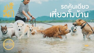 รถคันใหม่ ขนไปหมดบ้าน - มหึหมา EP29