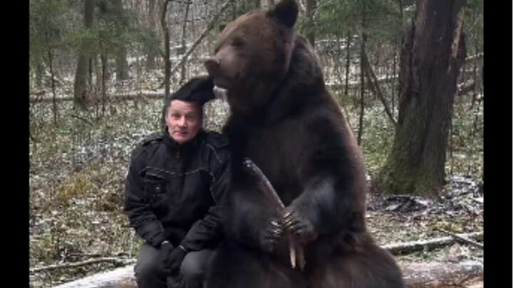 How to Take a Photo with a Bear