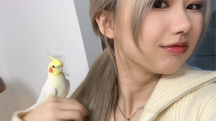 Made an appointment with Tony to dye my hair Pavlov pink—only to end up looking like... No one walks