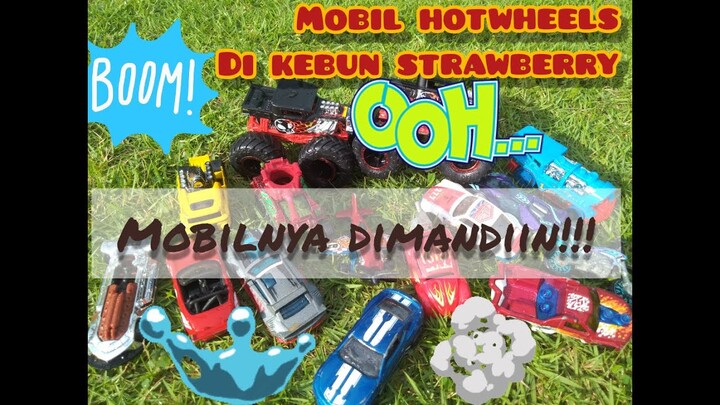 Berburu mainan mobil hotwheels di kebun | #hotwheels
