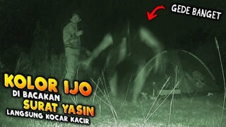 🔴 923- KOLOR IJO DI BACAKAN SURAH YASIN LANGSUNG LARI KOCAR KACIR | ADU NYALI