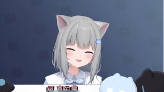 Gancheng Cat calls others stupid and acts cute? What a female kitten! I can only...!