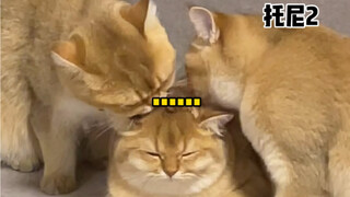 Today, either you go bald first or I do.