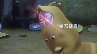Funny Bugs: In terms of eye contact, Xiao Huang is absolutely invincible