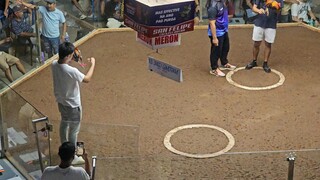 WPC ELIMS EARLY BIRD WDW. 3RD FIGHT Win