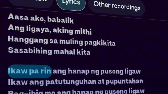 dipinili arayyyyy kooooo