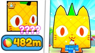 I PLAYED SUMMER EVENT Update EARLY... in Pet Simulator X!