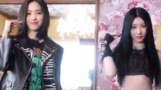 【申留真+李彩领】日专新歌Ringo双人舞！