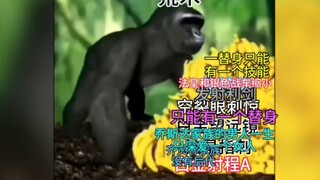 Araki Chi setting