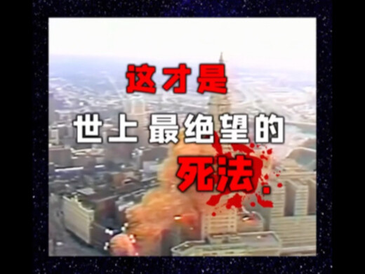 “1,5 triệu quả bóng bay được thả cùng lúc: Cách chết tuyệt vọng biến hoạt động từ thiện thành bi kịc