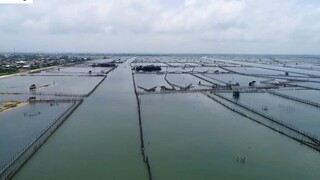 DU LỊCH HUẾ _ Trải nghiệm Bánh Xèo Cá Kình tại Đầm Chuồn siêu đẹp 8