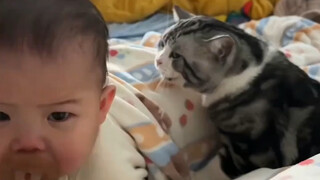 Cat: It’s okay, my dad is just a child!