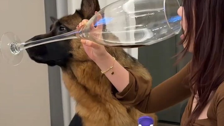 Bánh mì dứa: bamn!