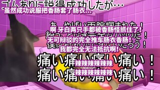 【熟肉】学生时代开始兼职男娘第一次成为肠衣香肠猎人的故事 | 猫meme