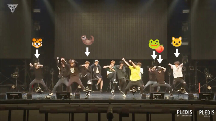 崔英俊说的长动线的舞台走位基本都给了表演队 4 个人和知勋，移动得很快的孩子们