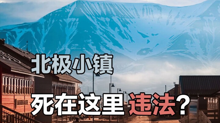 为什么死在挪威的朗伊尔城里是违法的？