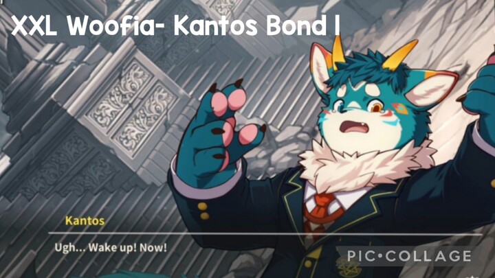 XXL Woofia- Kantos Bond 1