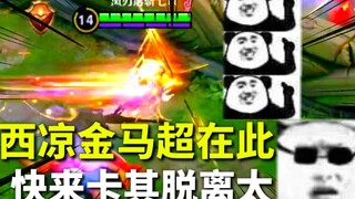 真 · 黄  金  电  光  刺  猬