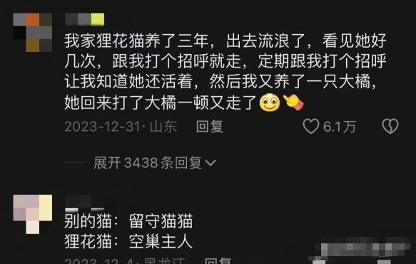 ทุกคนที่เลี้ยงแมวไล่ฮวาต่างมีประสบการณ์อะไรบ้าง…