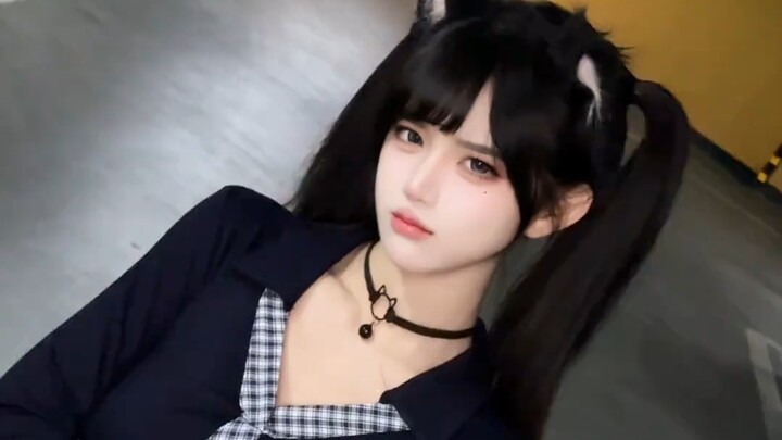 Please choose your exclusive car model.