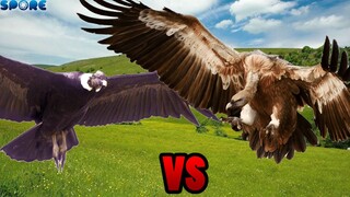 Andean Condor vs Vulture | SPORE