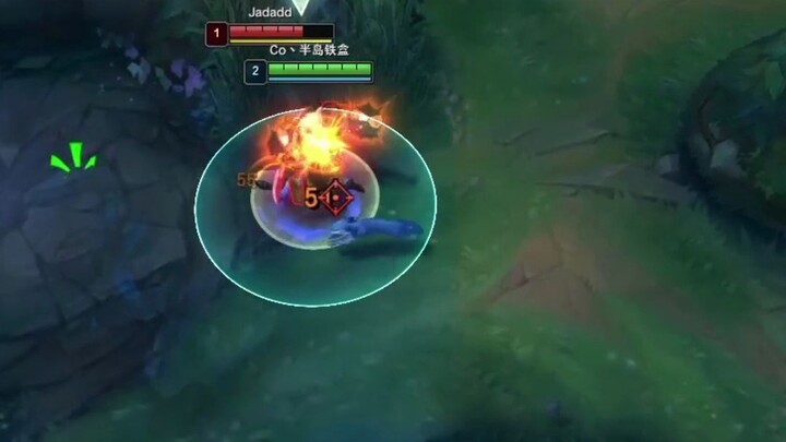 Khu rừng của bạn là nhà của tôi