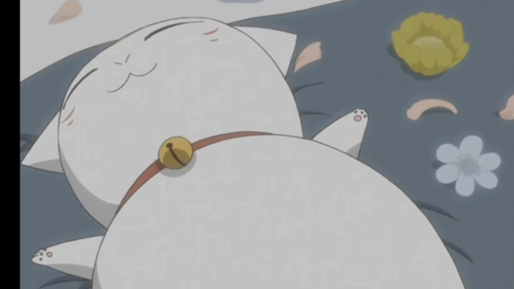 Guru Neko sekarang bisa tidur di tempat tidur Natsume dengan tangan terentang.