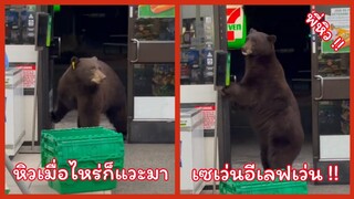 เพราะพี่หมีหิวข้าว จึงต้องเข้าเซเว่น !! ( รวมฮาพากย์ไทย )