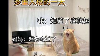 【Cat Meme】A Day in the Life of a Patient with Multiple Personality Disorder