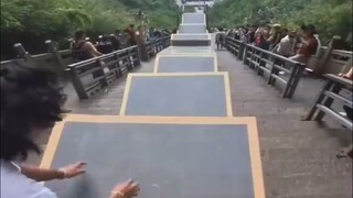 As soon as the little tune plays, they make a dazzling entrance!