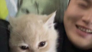 خبز القمح الكامل اللطيف