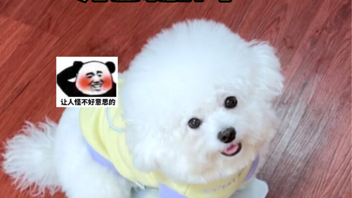 ทำไมอ้วนขนาดนี้? ก็… อ้วนแบบกะทันหันน่ะ…