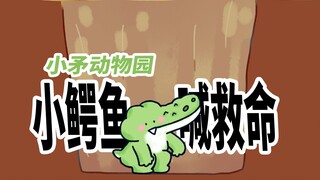 [Little Spear Zoo] The little crocodile shouted for help, thank you very much!