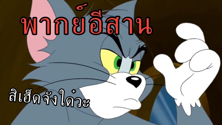 ทอมแอนด์เจอร์รี่ พากย์อีสาน หาสมบัติ