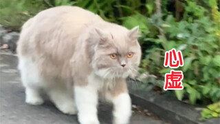 So well-behaved! He actually followed me secretly all the way!!!