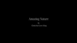 Amazing Nature full HD 1080p