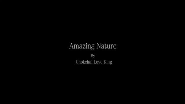 Amazing Nature full HD 1080p