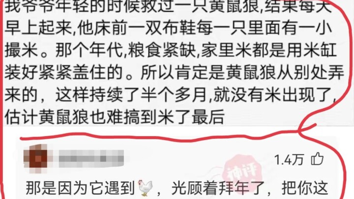 Hilarious Divine Comments