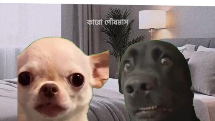 sorry ammu 🙃