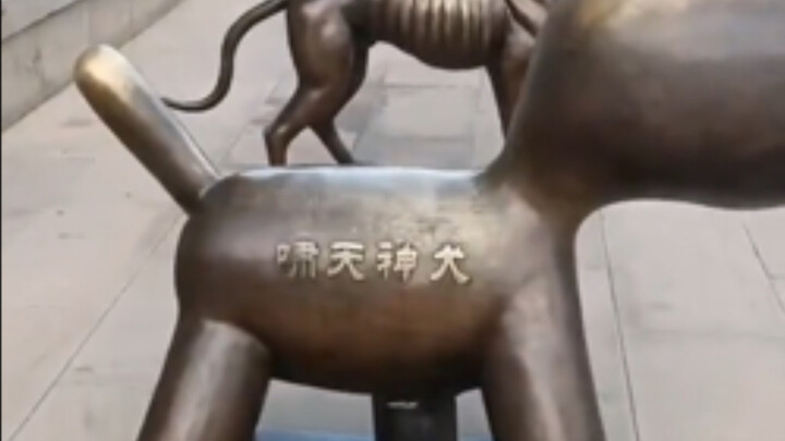 รวมคลิปฮาๆ ของน้องหมา: ชีวิตแสนสุขของเจ้าตูบ!