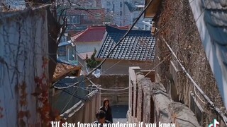 Korea Drama