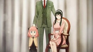 Tukang Jahit Itu Langgananmu ! Spy x Family