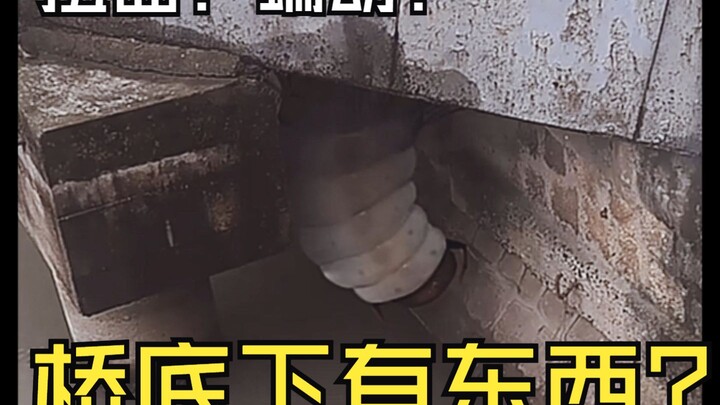 ทุกวันตอนข้ามสะพานก็ต้องเหลือบมองเธอสองสามครั้ง ไม่ต่างจากฉันเลย เธอกำลังเติบโตขึ้นทุกวันเช่นกัน