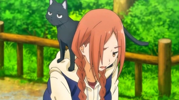 But never say the kitten is fat!