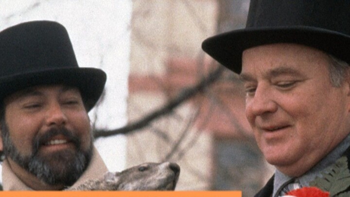 【Dong Qing】Groundhog Day: The bad news is today or yesterday, the good news is today becomes tomorro