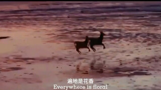 Two silly roe deer in the fiery red Sarlang